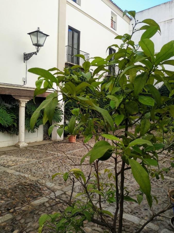 Wish Suite Juderia De Sevilla Zewnętrze zdjęcie