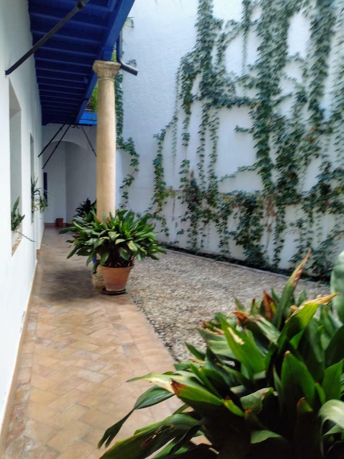 Wish Suite Juderia De Sevilla Zewnętrze zdjęcie